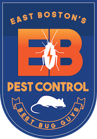 East Boston Pest Control